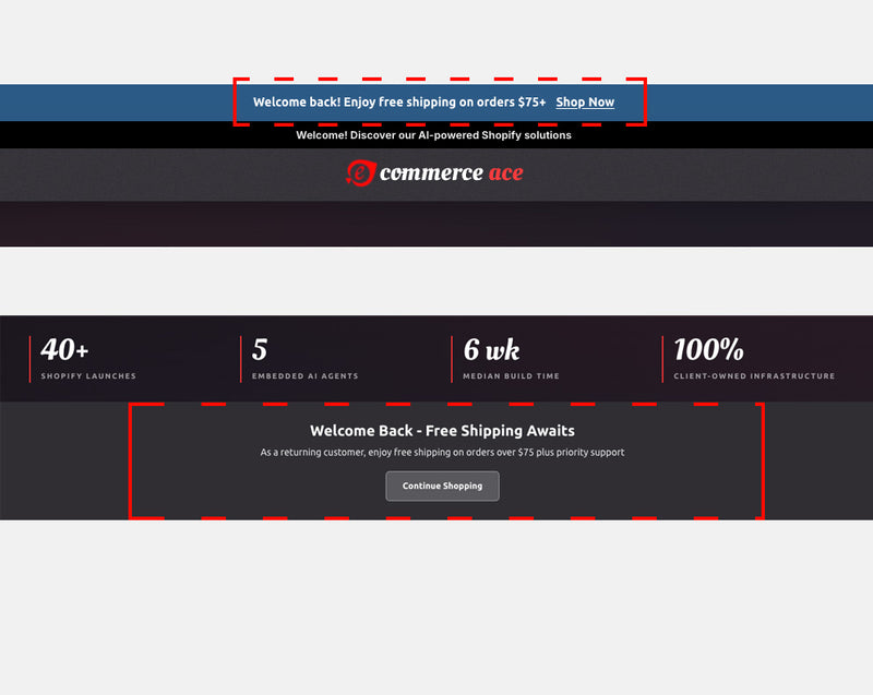 Step 9 — Live Storefront Campaigns